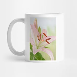 Lilium  Lily Mug